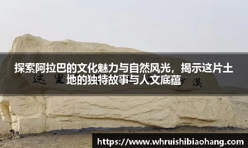 3377体育官网